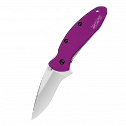 Складной полуавтоматический нож Kershaw Scallion Purple 1620PUR
